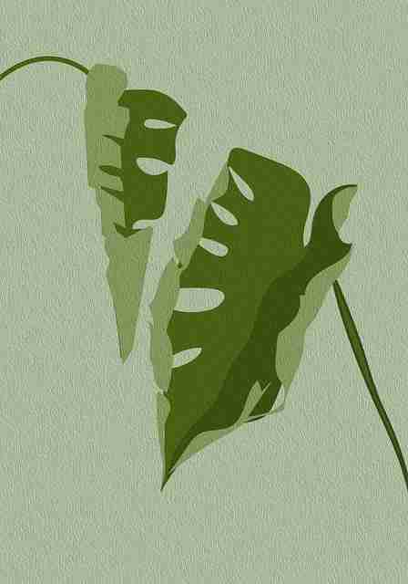 人气榜51网网址——全网最全新姿势解锁  第2张