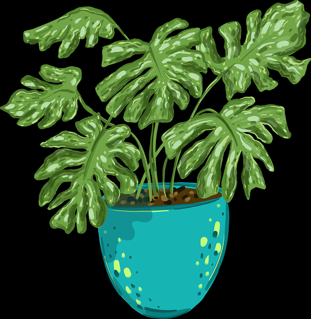 社群调研麻豆app官网(排行榜)全网热搜