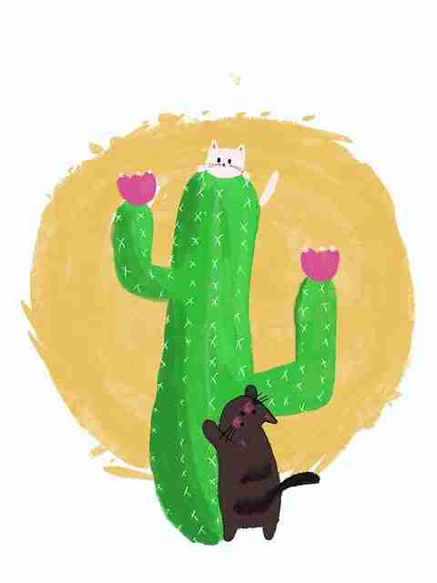 51视频网站·新品首秀·深夜速报·玩法革新