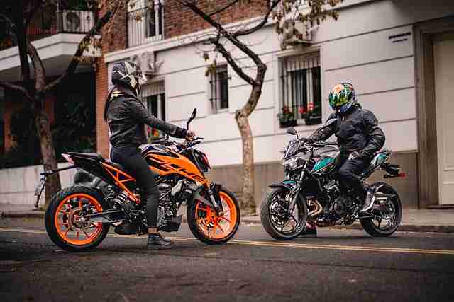 彩蛋解析!福利季蘑菇视频精彩不断