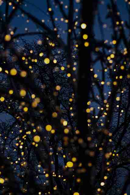 24步上手探花精选社区热议王者之选